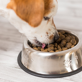 芯食代冻干科技研究院（江苏）有限公司