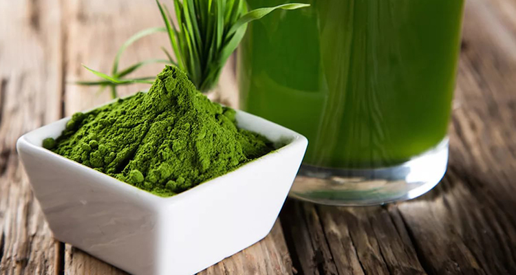 植物提取物解决方案