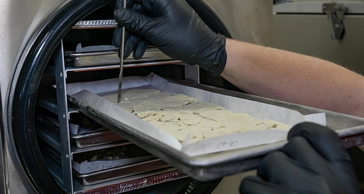 冻干工艺解决方案