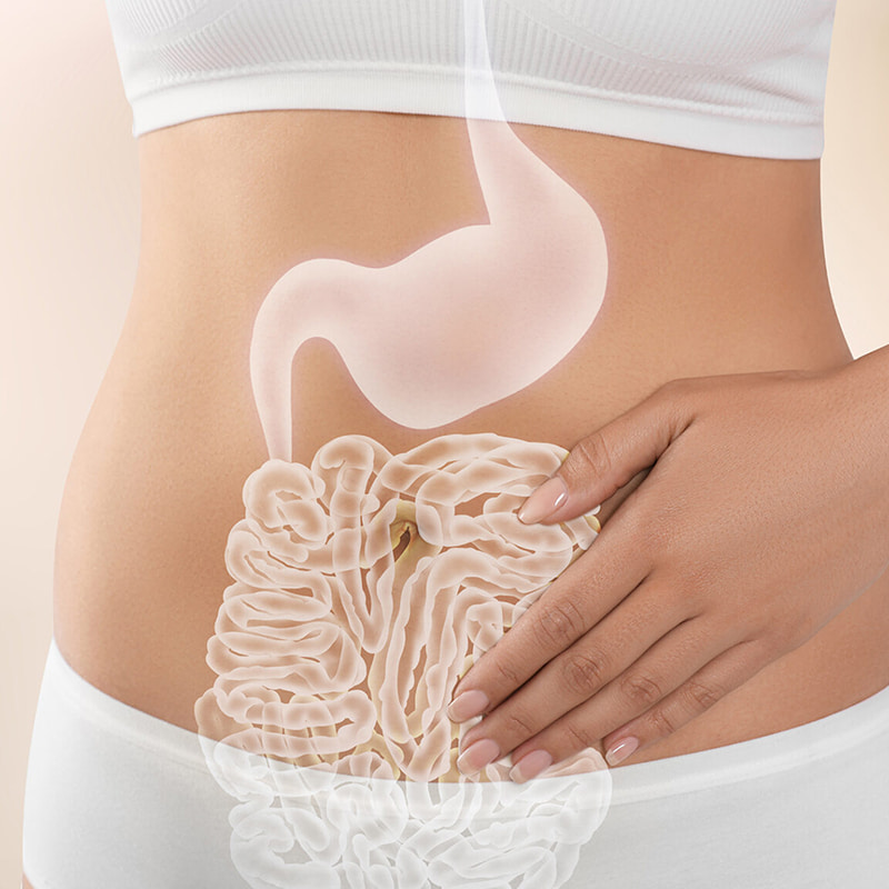 铝箔充氮包装机