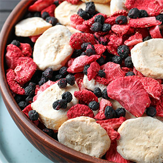 芯食代冻干科技研究院（江苏）有限公司