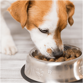 芯食代冻干科技研究院（江苏）有限公司